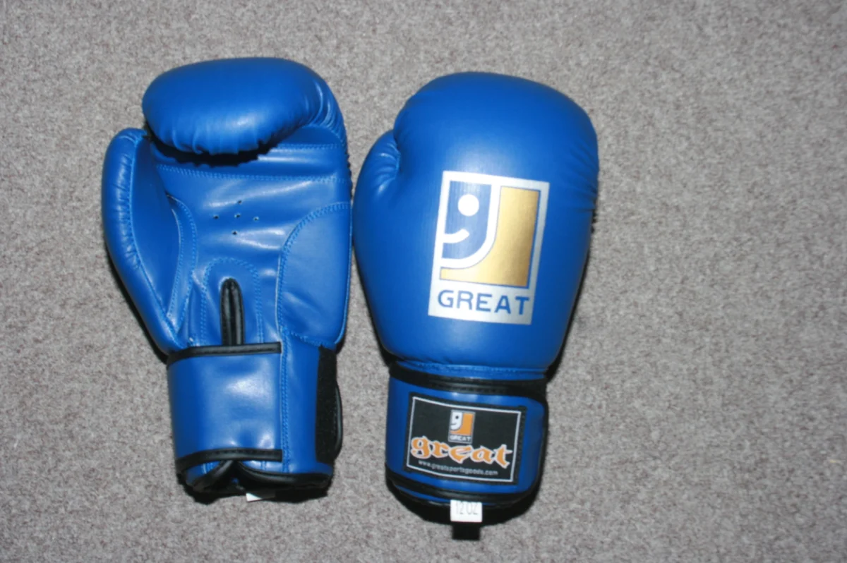 top ten boxing gloves